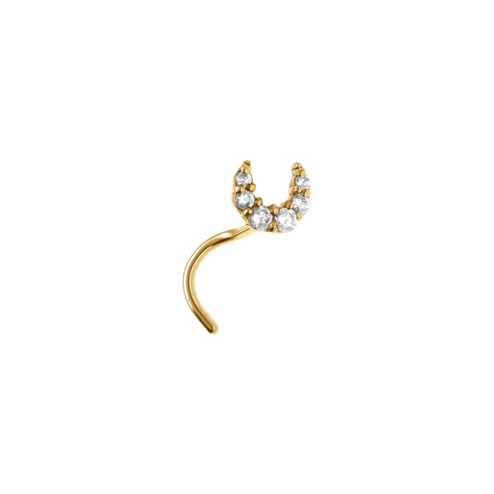 %e2%9c%a8-piercing-elina-courbe-lumineuse